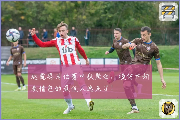 赵露思马伯骞中秋聚会,模仿许妍表情包的最佳人选来了!