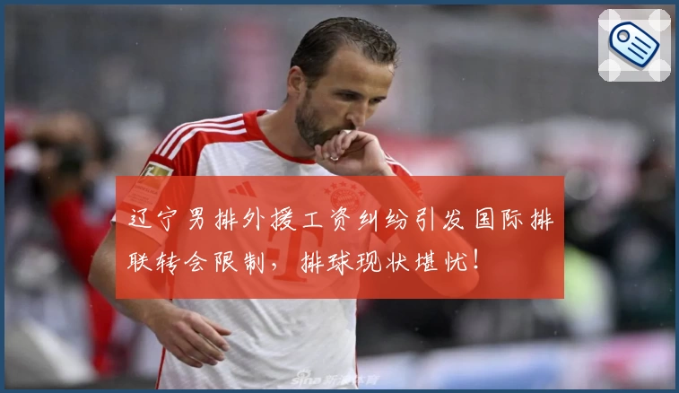 辽宁男排外援工资纠纷引发国际排联转会限制，排球现状堪忧！